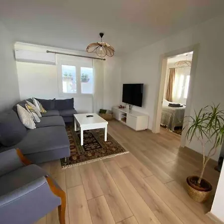 Aile Apartmani, Teras Kat Daire