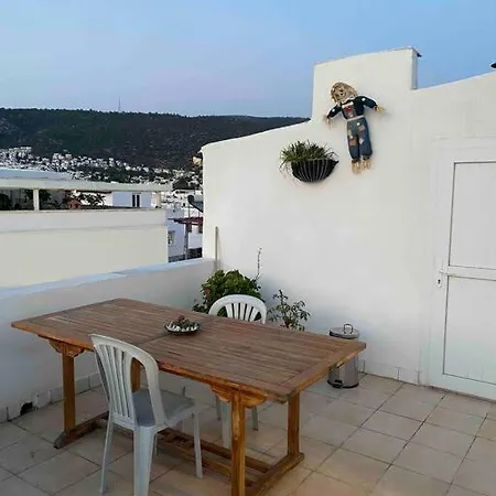 Aile Apartmani, Teras Kat Daire Appartement